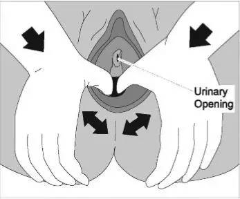 2)如果是自己按摩的话,需要使用拇指(如图示而伴侣按摩的话,需要