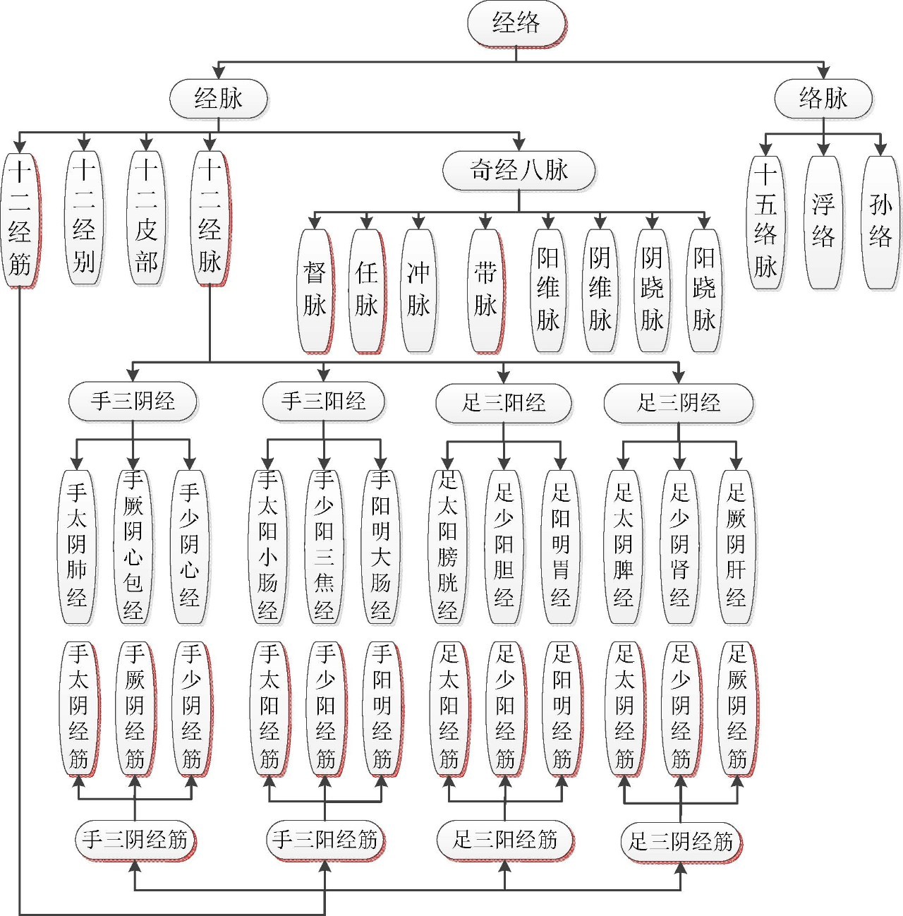 奇經八脈和經內外穴道等組成二者同屬一個特殊的人體氣運行的大系統