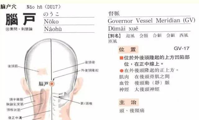 督脉之脑户穴位常识