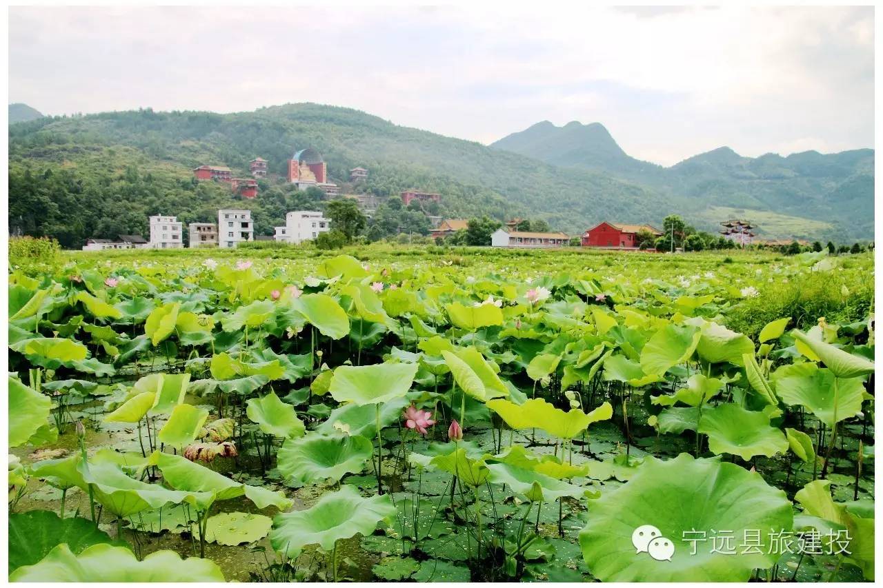 要出大事啦速來圍觀九嶷山永福寺得道高僧舍利子將在農曆6月19陽曆7月