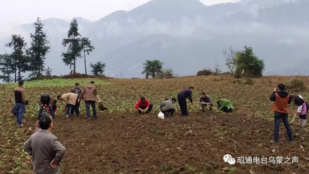 威信县水田镇龙洞村图片