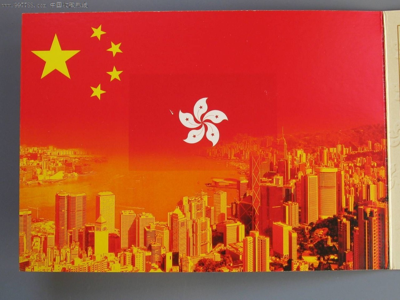 附小视点紫荆花开情满香江热烈庆祝香港回归祖国二十周年