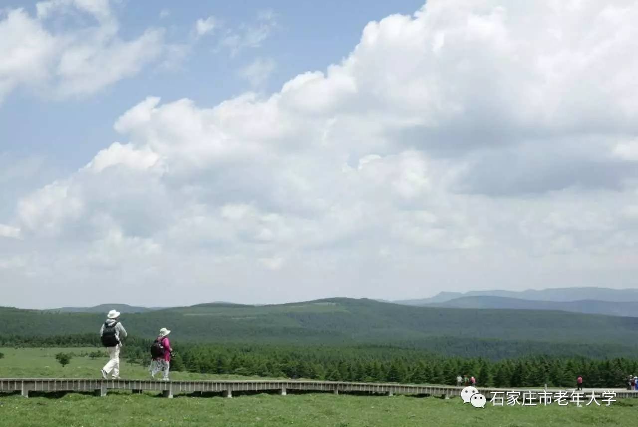 吉林李彦洁图片