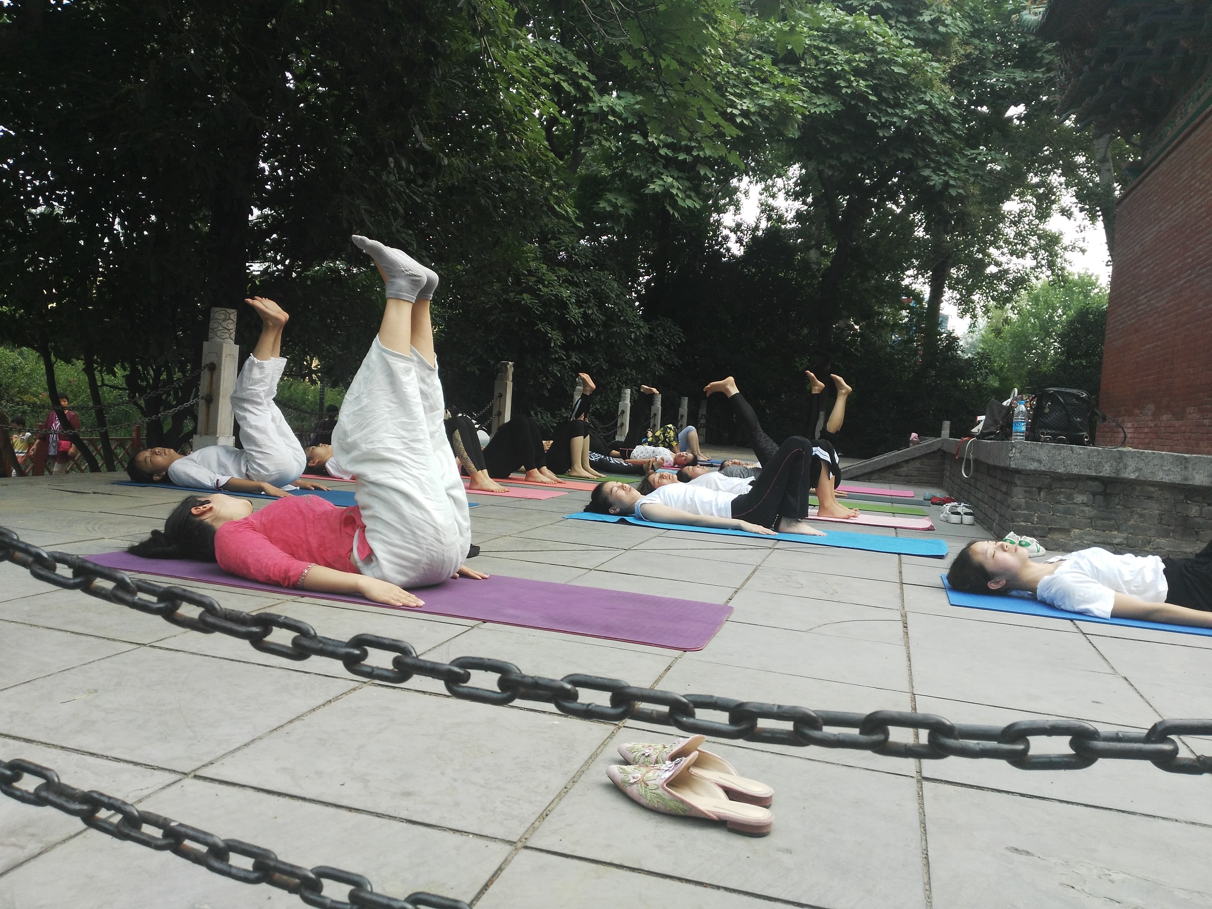 清晨,郑州某公园一群瑜伽爱好者集体秀一字马