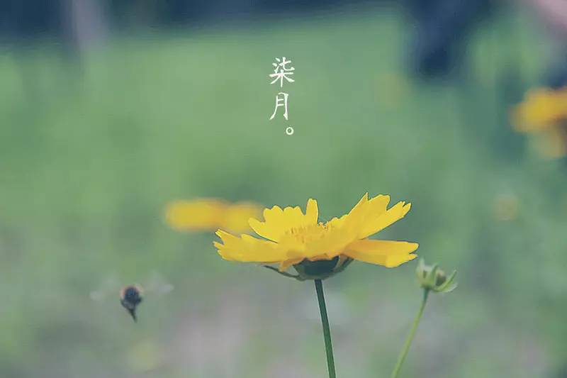 剪字為詩:七月,雨季