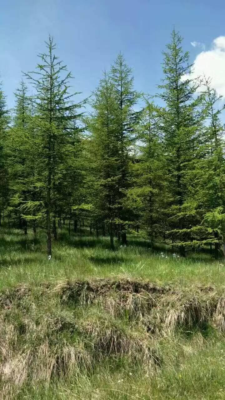 景泰杨家磨景区咋样图片