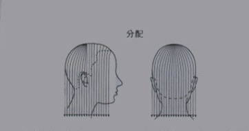 美髮知識剪髮技術圖解固體形