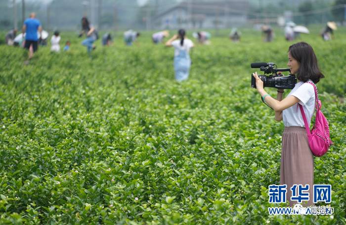 茶香敬宾朋 犍为县组织县内十余家优秀企业连续参加中国茶乡峨眉山