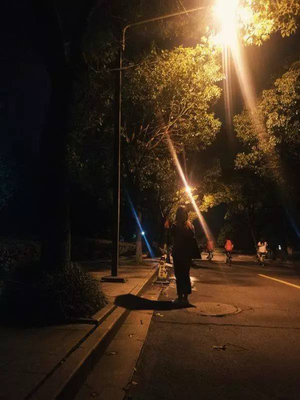 路灯下的孤独图片
