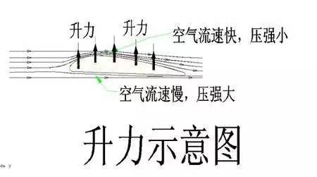 飞机飞行时机翼周围空气的流线分布是指机翼横截面的形状上下不对称