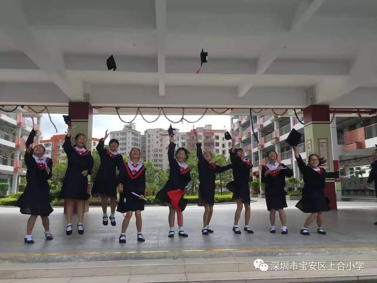 荷园毕业季以手写心以字传情上合小学毕业班学子心语