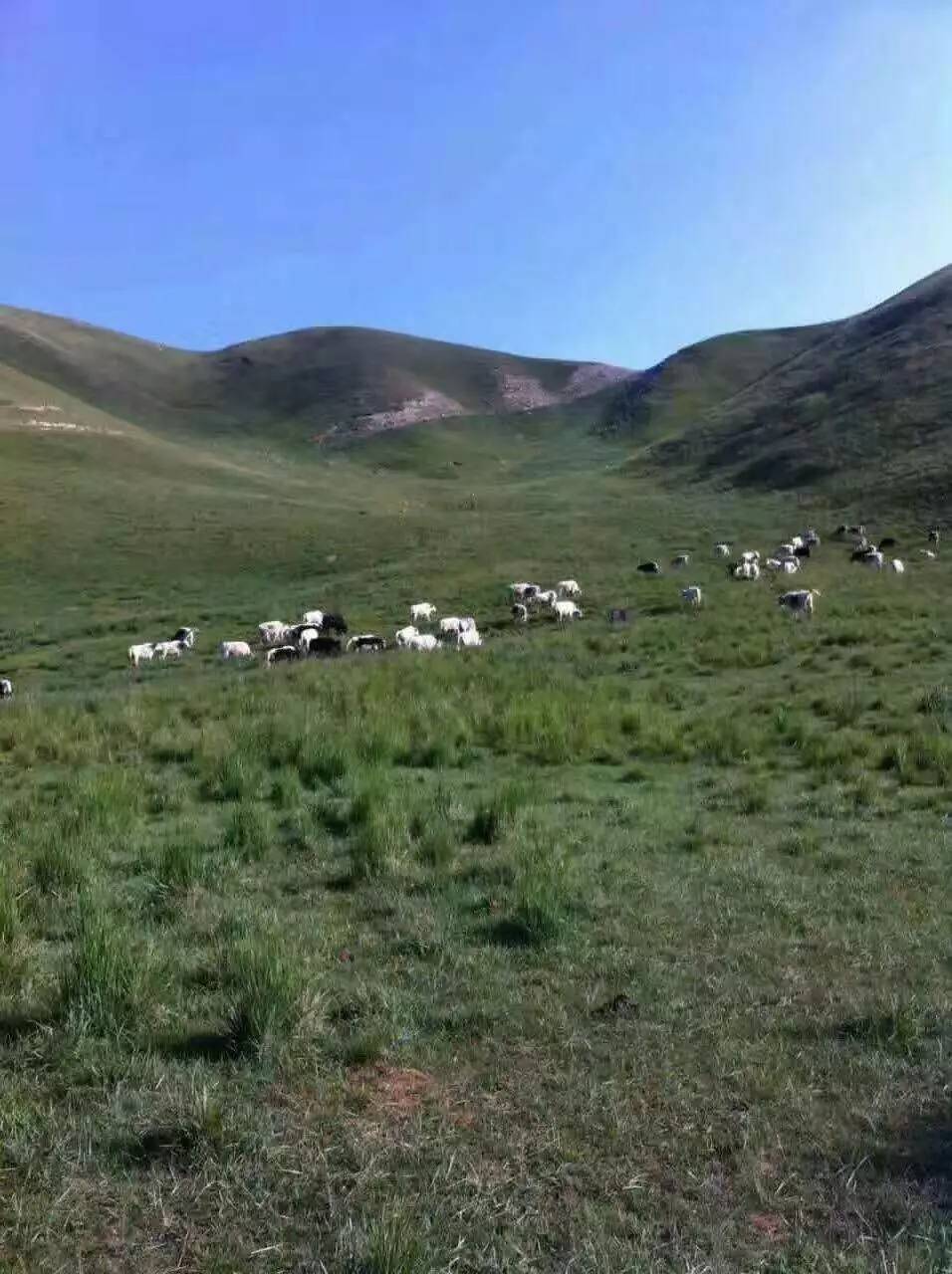 景泰杨家磨景区咋样图片