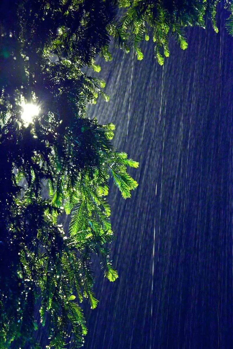 雨夜