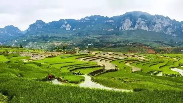 (來源水城旅遊)旅行小貼士:到達與離開:六盤水客運站—水城,然後再坐