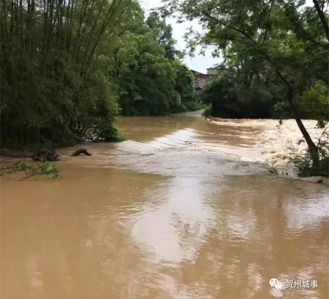 挺住強降雨橫掃賀州19個鄉鎮46座水庫超汛限水位