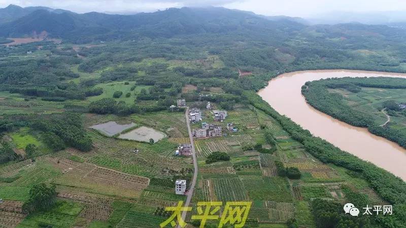 独家空中航拍藤县太平镇洪水灾情图