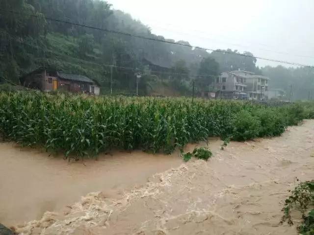 洪水無情湖南漣鋼燃氣管道橋樑被沖垮大量圖片流出