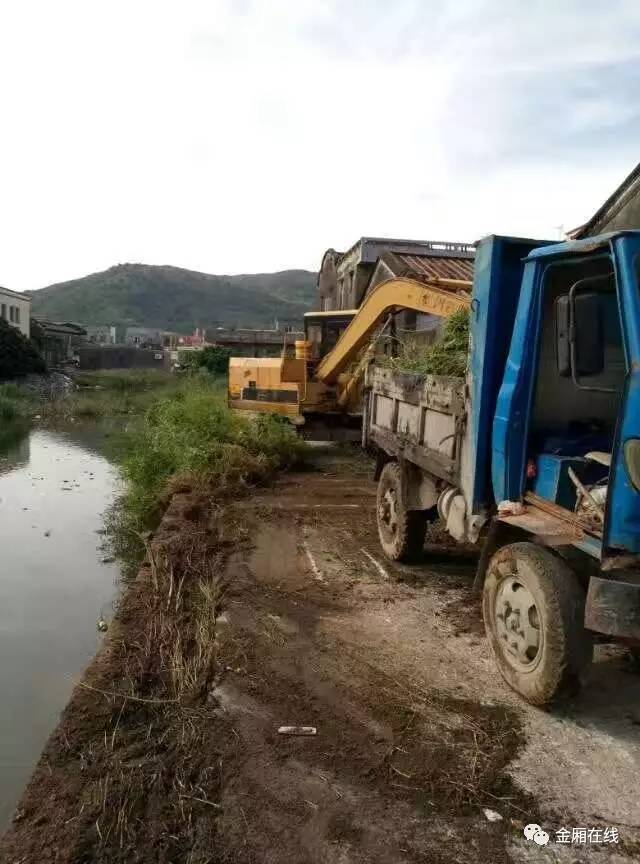 讓家鄉愈發美麗金廂鎮頂蕉園村創文在行動