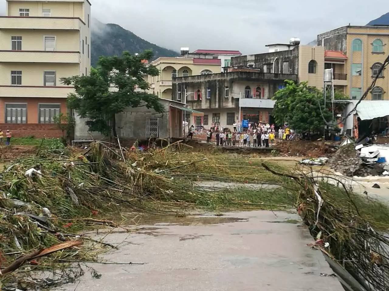 电白望夫火灾图片