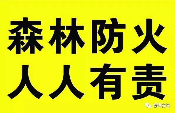 關注應對極端天氣防止森林火災