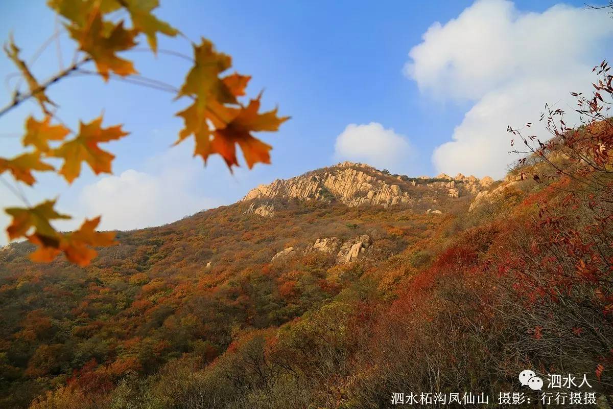 醉美柘沟:秋染仙山美如画