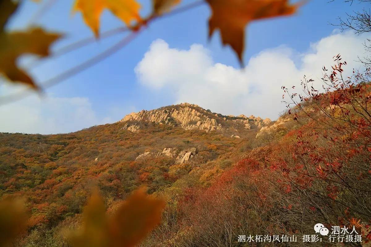 醉美柘沟:秋染仙山美如画