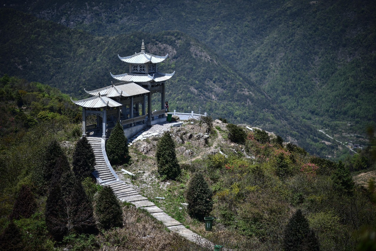 涼爽的地方今夏一個一個去拔草2017七月的山summer大雷山在這酷暑盛夏