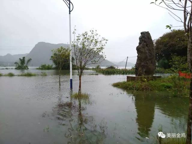 到回龙屯时看到,原来的庄稼地已经变成了一片汪洋,形成了一个大型水库