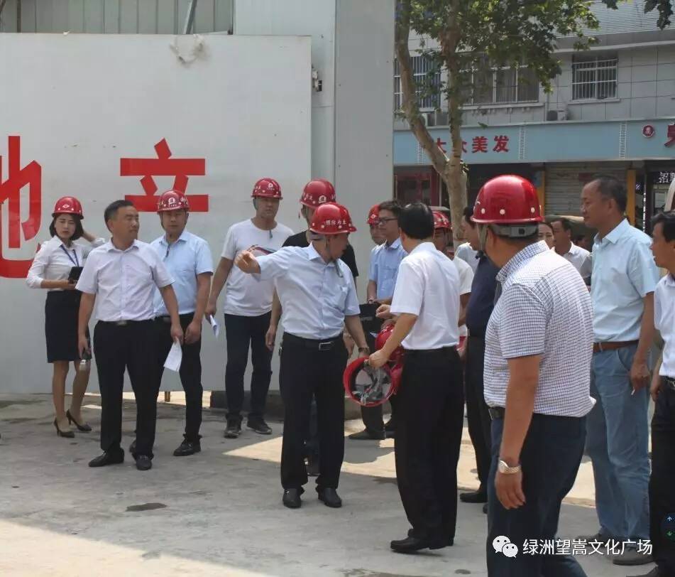 2017年7月4日,河南省住建厅厅长裴志扬莅临汝州市重点民生工程