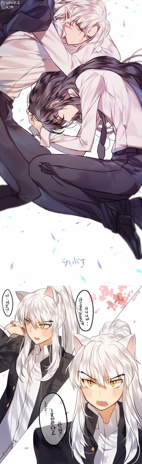 杀生丸x犬夜叉画师sukjap站id157639144667676767