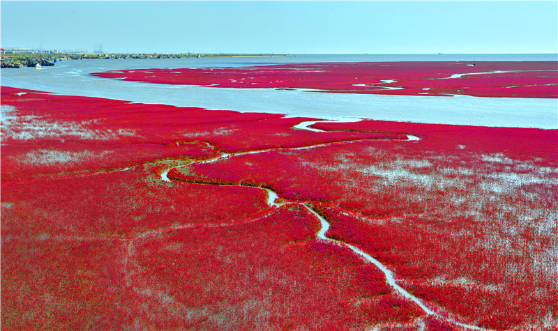 白洋淀红色景区图片