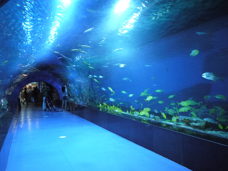 驻马店水族世界海洋馆图片