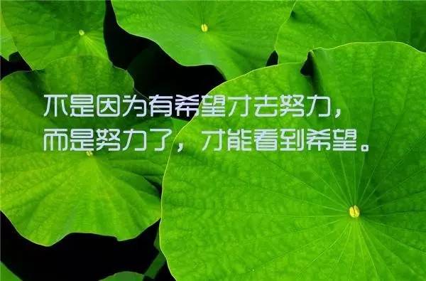 正能量早安語錄早安正能量心語