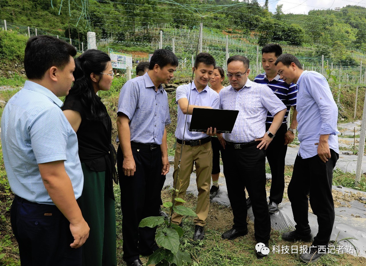 广西科技厅党组书记厅长曹坤华赴天峨县检查指导科技厅扶贫项目实施