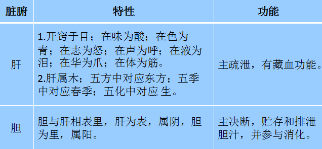 脏腑功能速查表