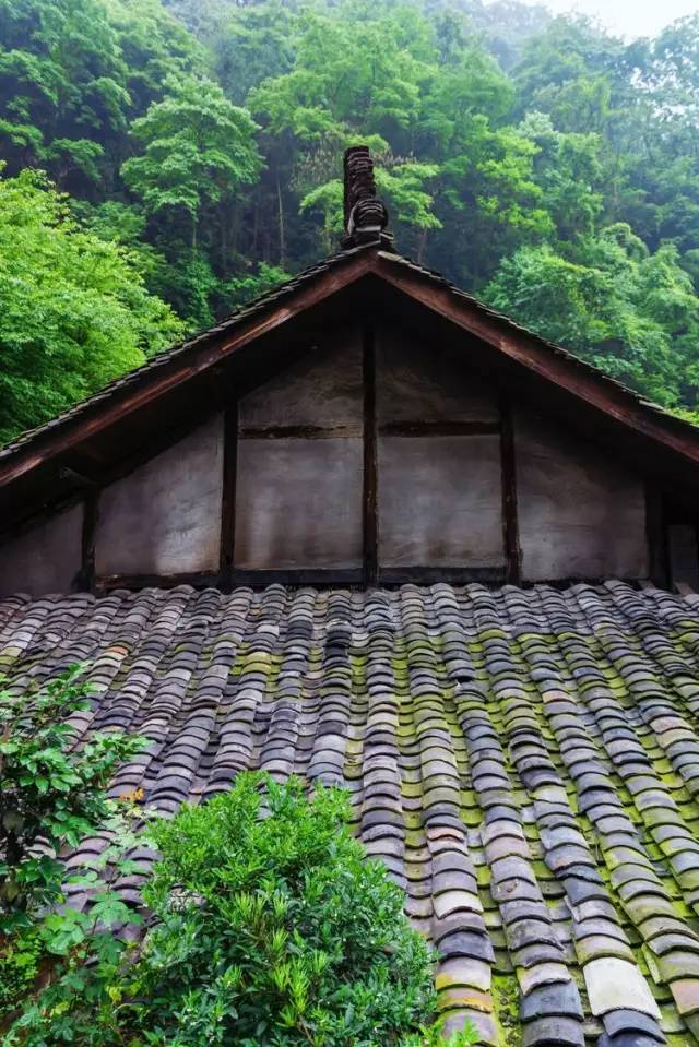 威信水田花房子照片图片