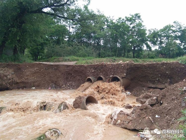 这就是长道镇川口村通向田间地头的路