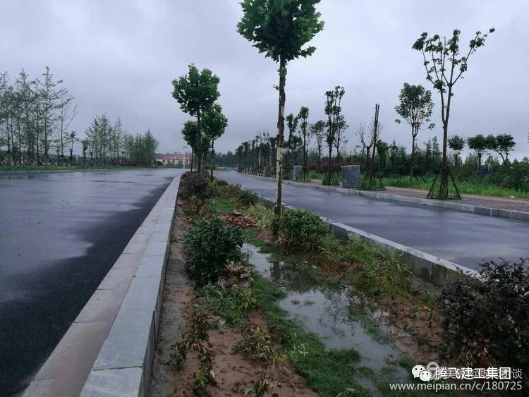 瞧经受暴雨检阅的海绵城市道路