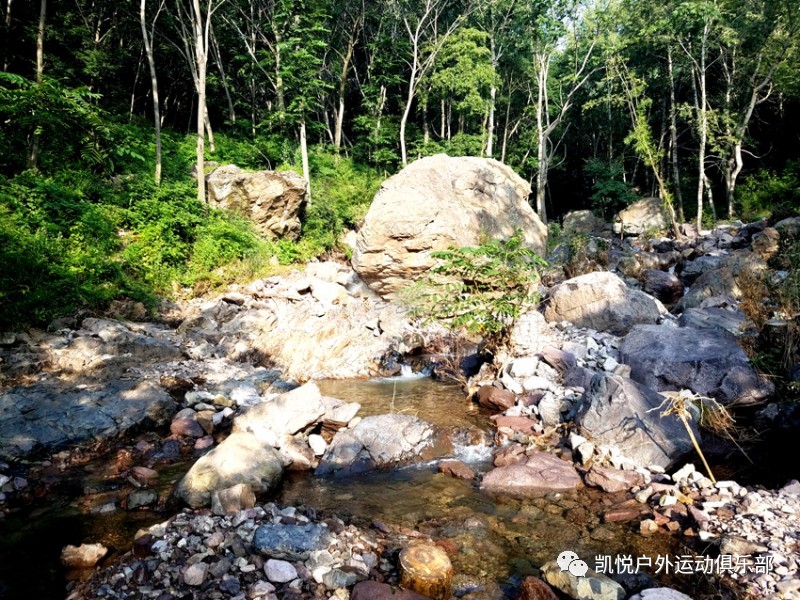 7月8日凤凰坨百座千米山61凤凰坨原始森林穿越