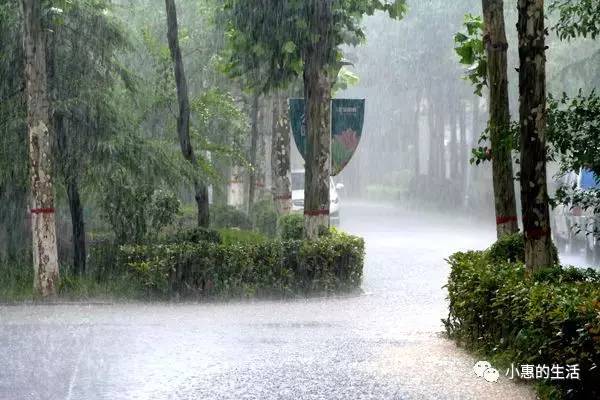 新乡长垣暴雨图片