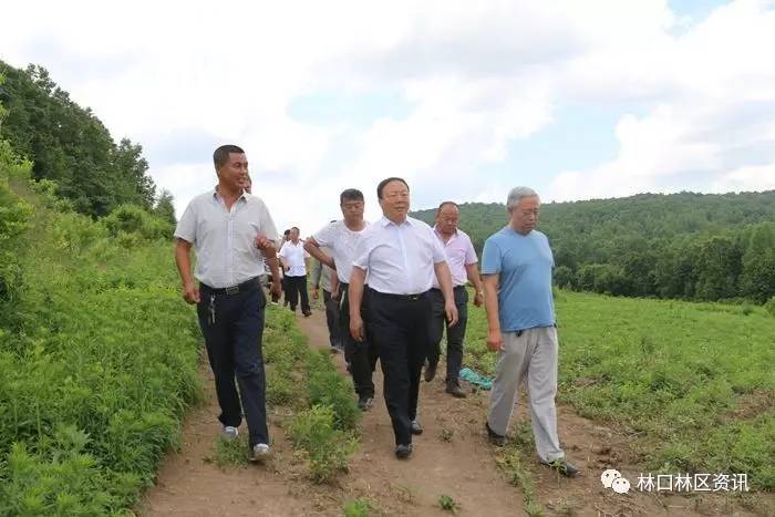 黄山市歙县林业局局长图片