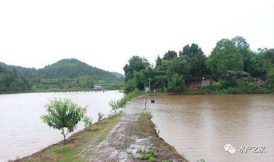 心酸40名大學生養魚創業夢被毀水產合夥人700畝魚塘全淹了