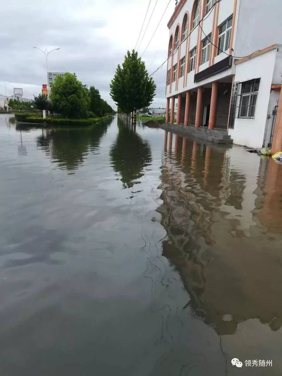 暴雨突袭随州,大雨中的随州竟然变成这样…可怕!