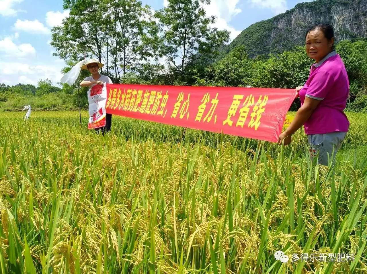 2017年7月6日,賓陽鄒圩鎮白達村周大姐