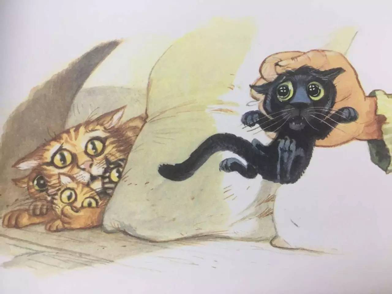 小黑猫小白猫绘本图片