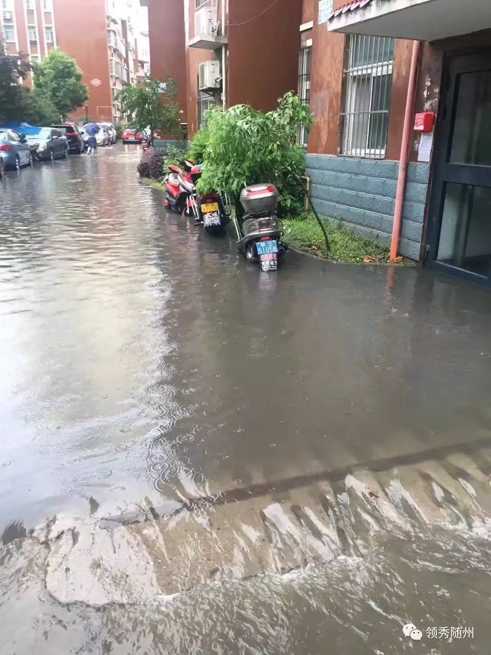 暴雨突袭随州,大雨中的随州竟然变成这样…可怕!