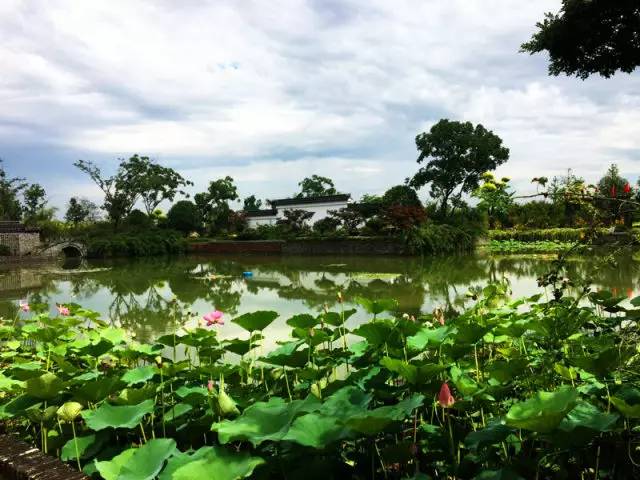 嬉樂灣景點篇果香四溢花香滿園