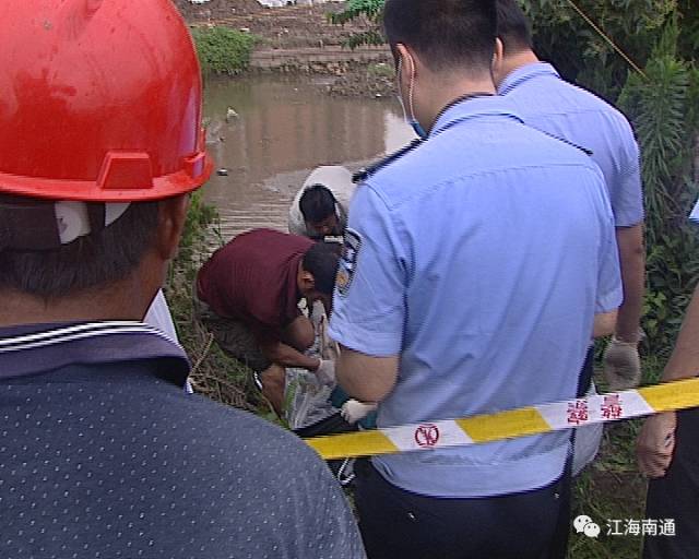 有市民在港閘區疏航橋以西港閘河河道內,發現一具無名女屍