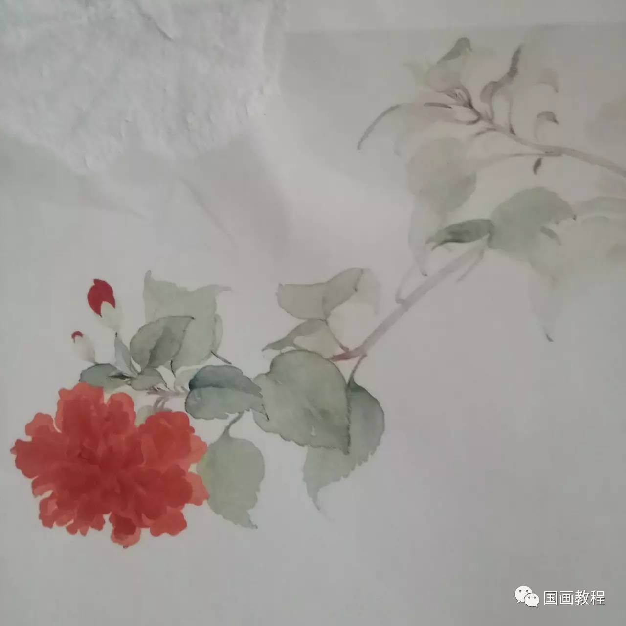 桃花步驟一:畫桃花要注意枝幹的穿插於走勢.