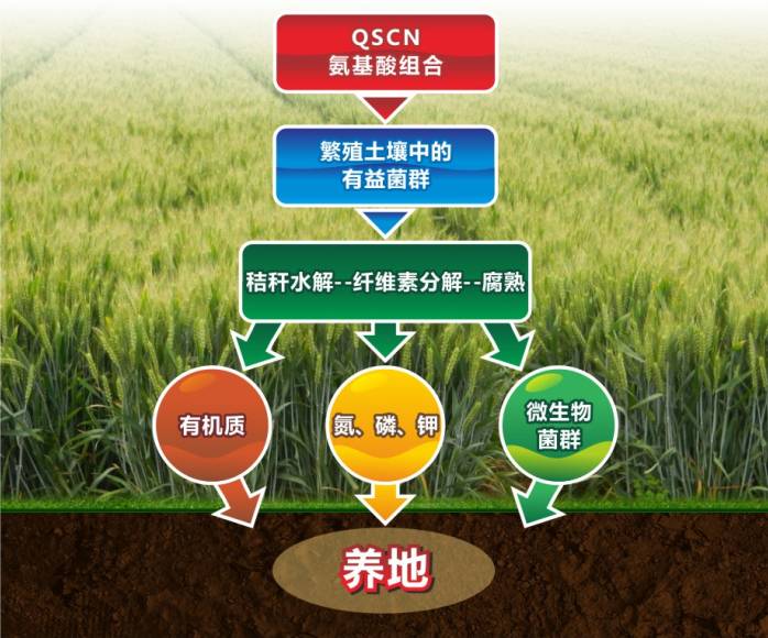 聚焦 10省份秸秆综合利用试点效果良好